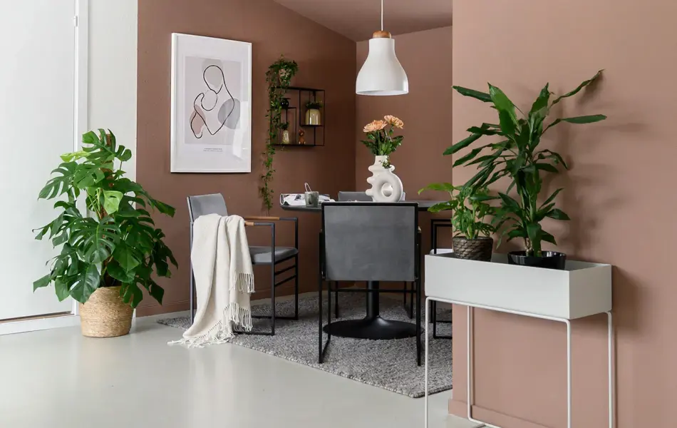 Stue med brun vegg og grønnplanter med en sittegruppe i et hjørne