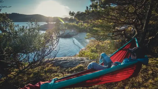Mann som ligger i hengekøye i skogen 