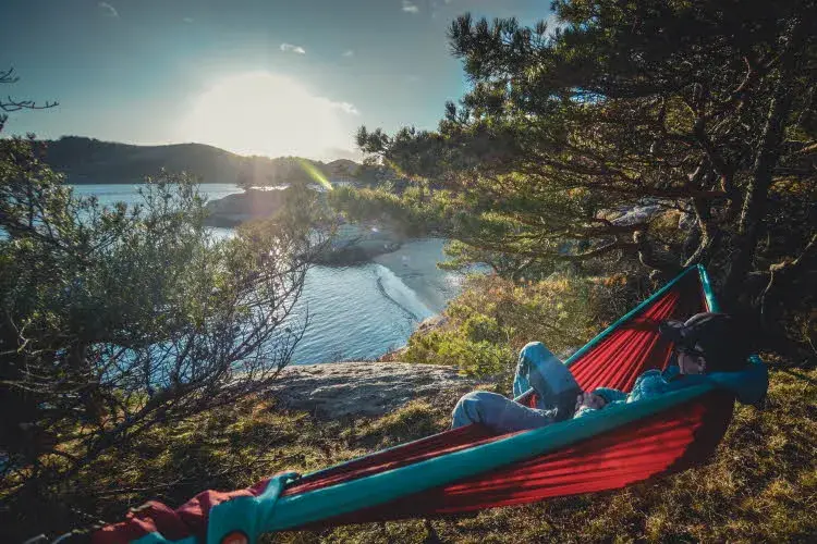 Mann som ligger i hengekøye i skogen 