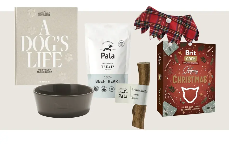 SS_Jul_Artikkelbilder_Gavetips_10