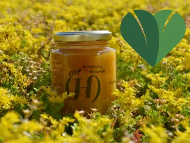 honningglass i blomstereng