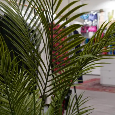 Oversiktsbilde av Marinka 