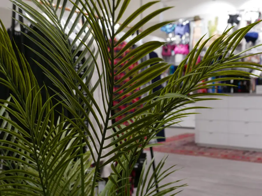 Oversiktsbilde av Marinka 