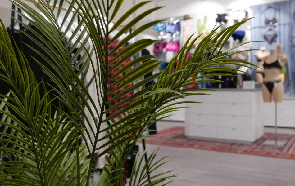 Oversiktsbilde av Marinka 