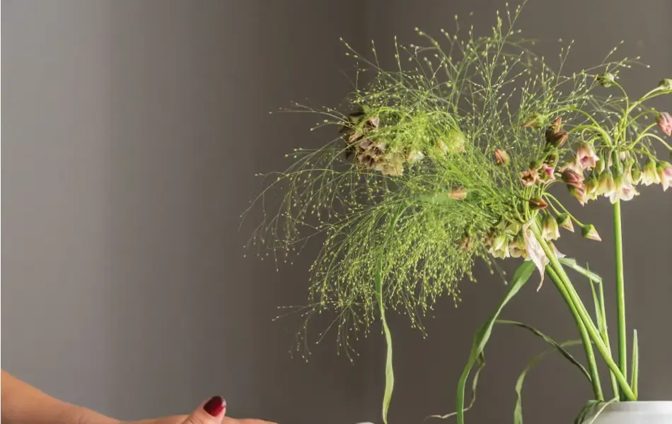 Dame som holder kjøkkenkluter og en vase med grønn blomster