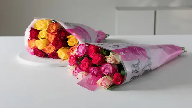 Rosa_sloyfe_roser_7753_f_s Mester Grønn.jpg