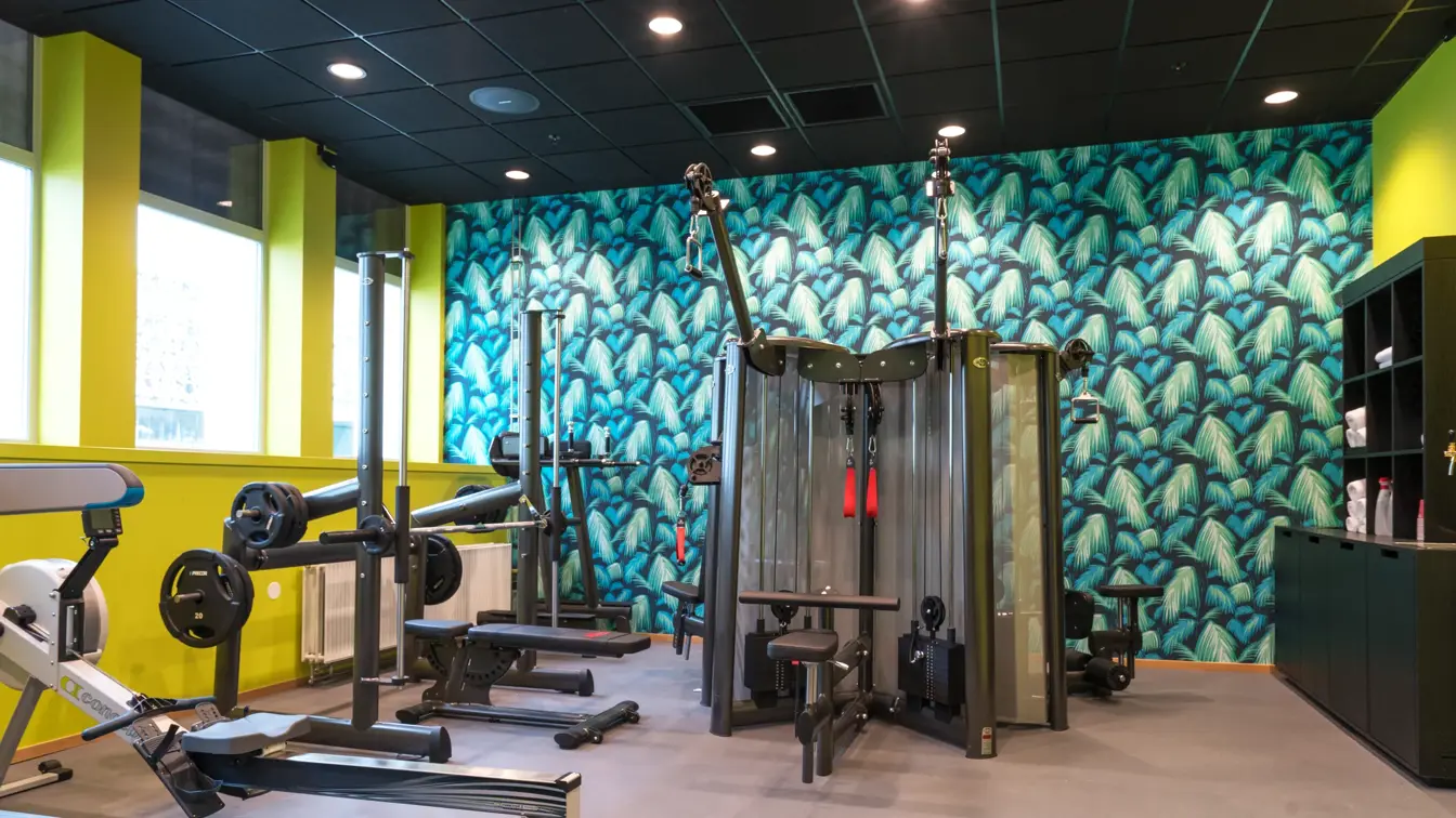 Treningsrom løpemaskiner med blå og grønn tapet med jungelutrykk på Thon Hotel Stavanger i Stavanger sentrum