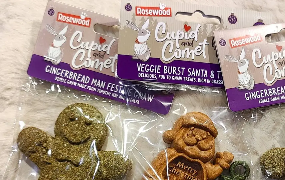 TS_Storo_Artikkel_Dyrenes_Jul