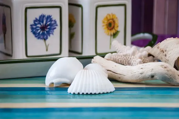 Nærbilde av skjell på bord 