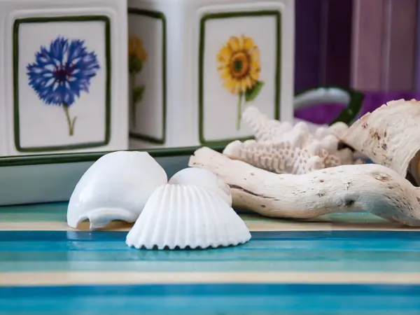 Nærbilde av skjell på bord 