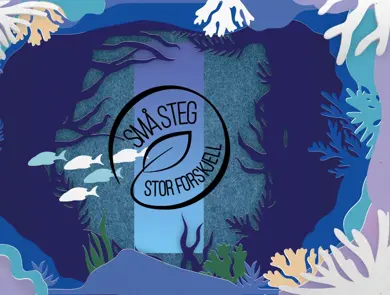 Små steg - stor forskjell