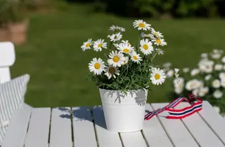 Tilbudsbilde for senter 92