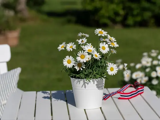 Tilbudsbilde for senter 92