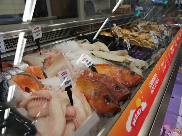 Fiskedisken