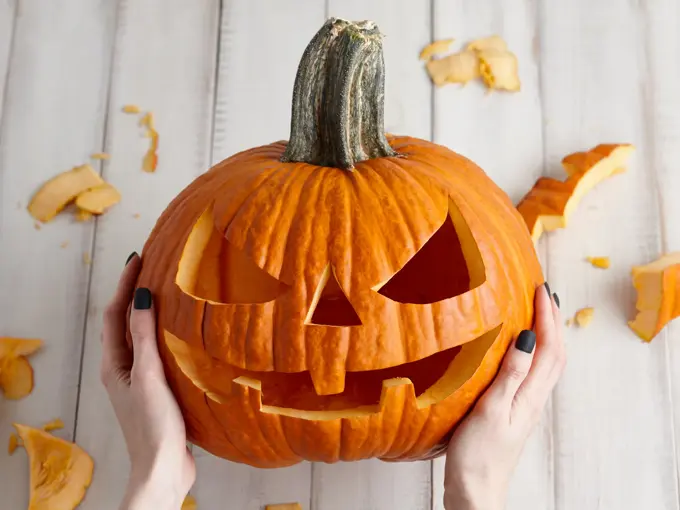 Woman carving big orange pumpkin into jack-o-lantern for Halloween holiday decoration on white wooden planks, close up view