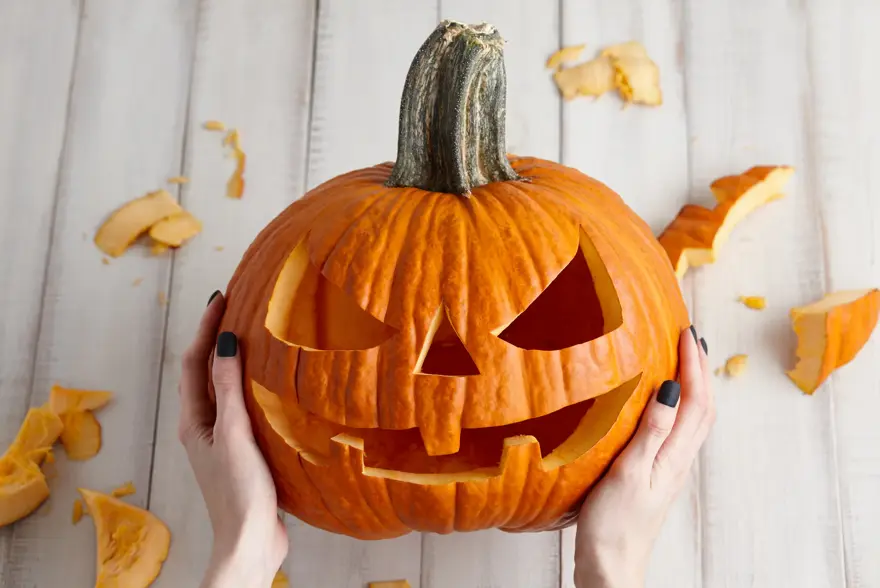 Woman carving big orange pumpkin into jack-o-lantern for Halloween holiday decoration on white wooden planks, close up view