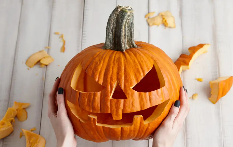 Woman carving big orange pumpkin into jack-o-lantern for Halloween holiday decoration on white wooden planks, close up view
