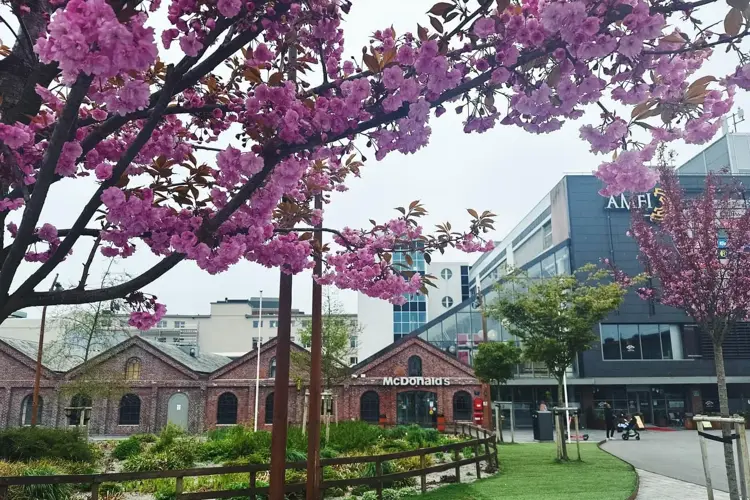 8. mai åpnet det nye kleskonseptet på AMFI Vågen