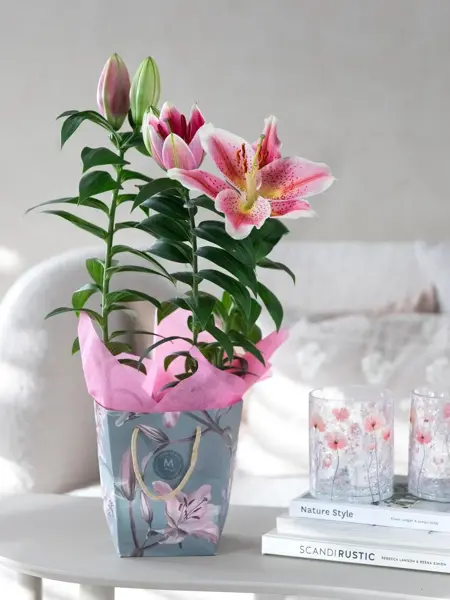 5_Lilje i gavebag_1080x1350