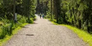 Bilde av to mennesker som går på en sti i skogen