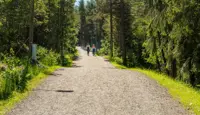 Bilde av to mennesker som går på en sti i skogen