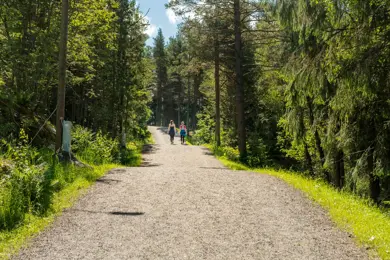Bilde av to mennesker som går på en sti i skogen