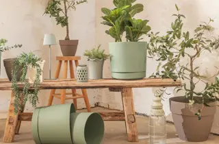 nille-planter-uke15-4.3