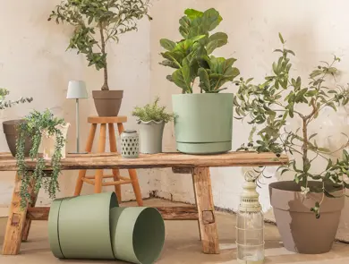 nille-planter-uke15-4.3