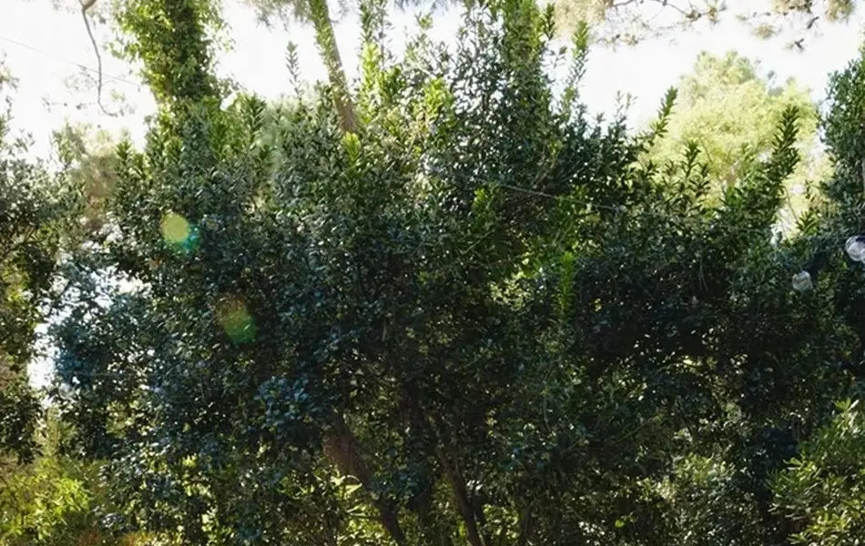 TS_Storo_artikkel_var_interiortrender