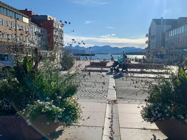molde by