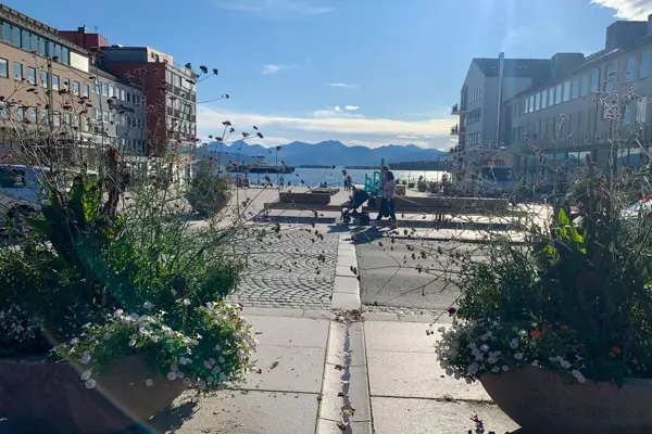 molde by