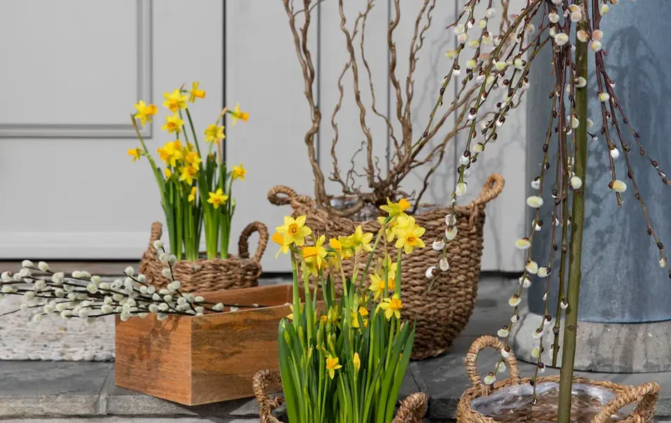 Uteblomster fra Mester grønn