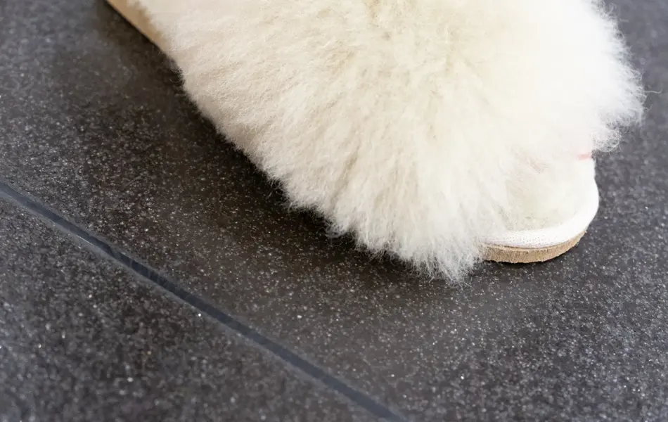 Bekkestua sko 890-1.jpg