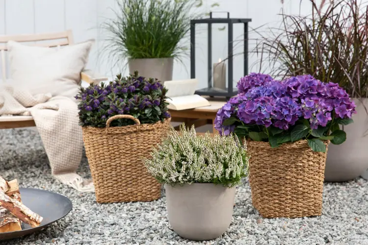 2_Host_uteplass (2).jpg