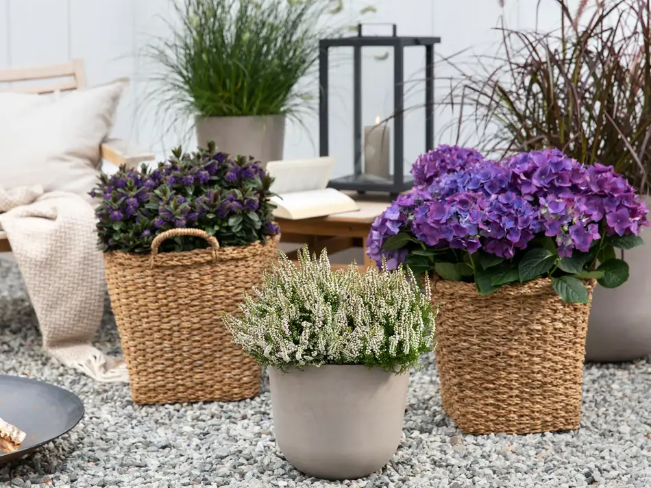 2_Host_uteplass (2).jpg