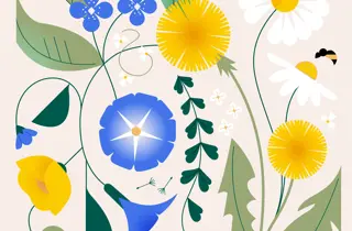 Kampanje-/stemningsbilde nettside 1-1 