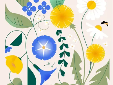 Kampanje-/stemningsbilde nettside 1-1 