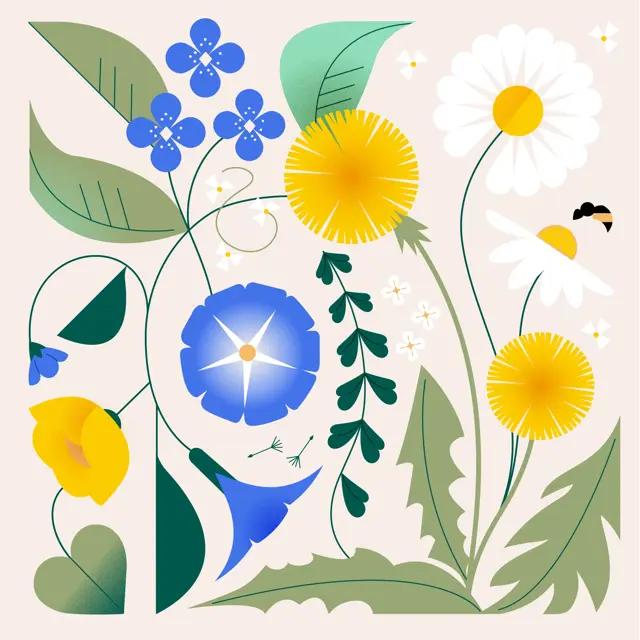 Kampanje-/stemningsbilde nettside 1-1 