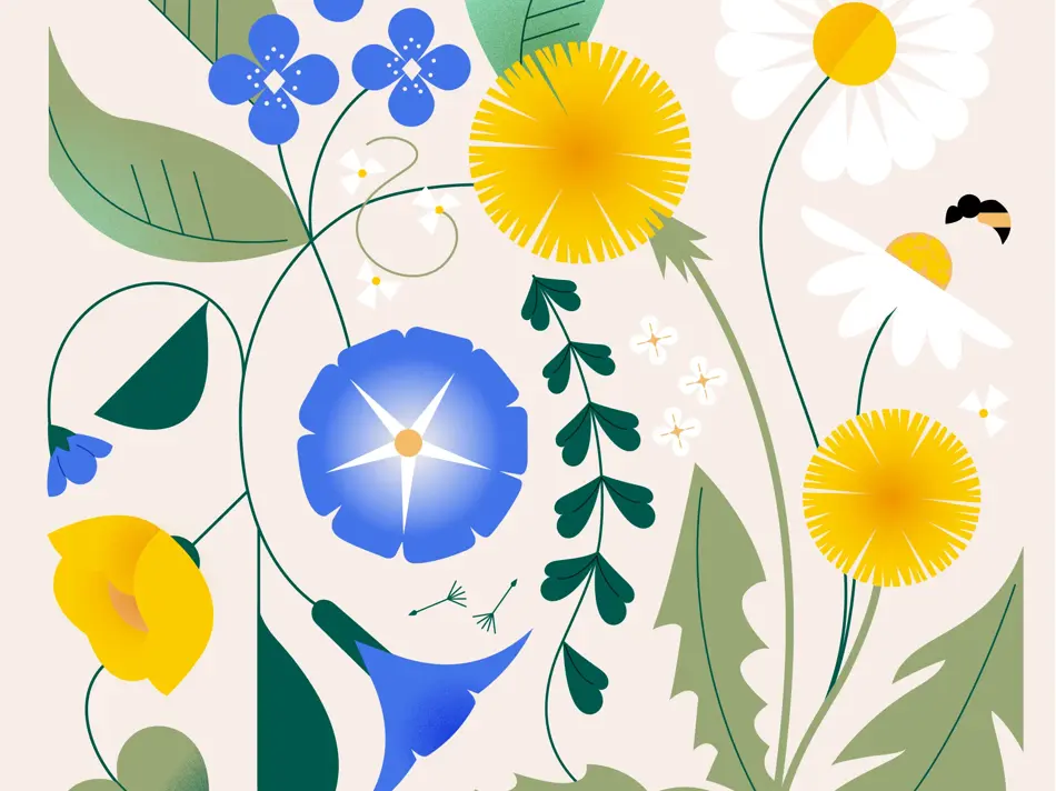 Kampanje-/stemningsbilde nettside 1-1 