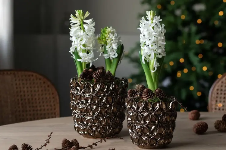 Pynt til en hyggelig adventstid med blomster og pynt fra Mester Grønn. 