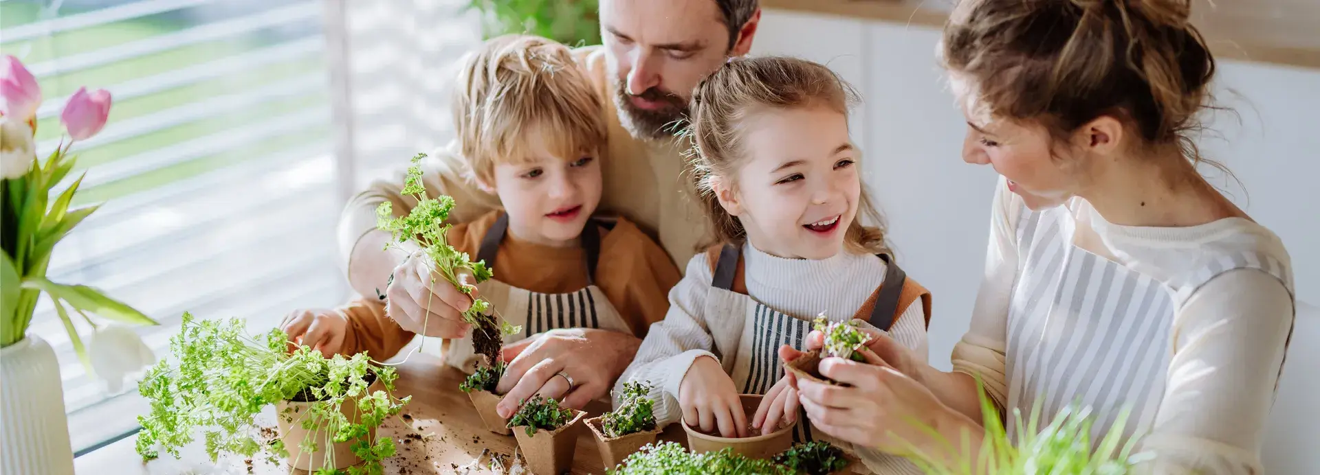 CSYD_4350_Vårkampanje_hjemmeside_app_1920x692