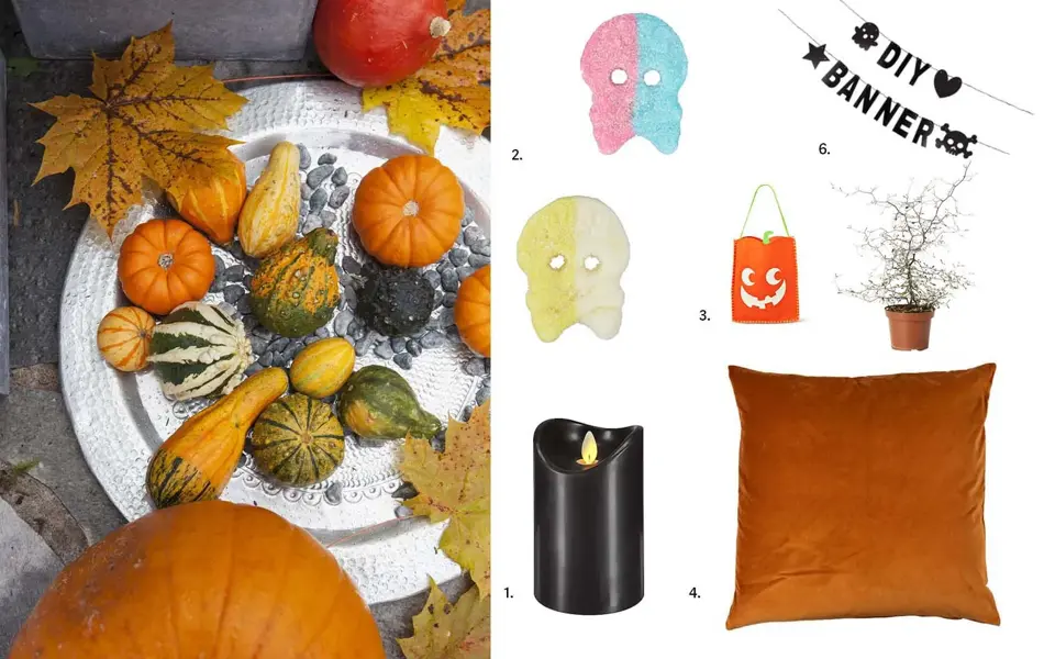 Gresskar og dekorasjon til Halloween