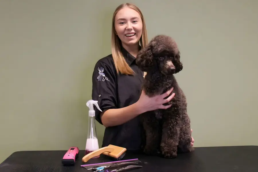 1920x1080 - Hundefrisør Julia