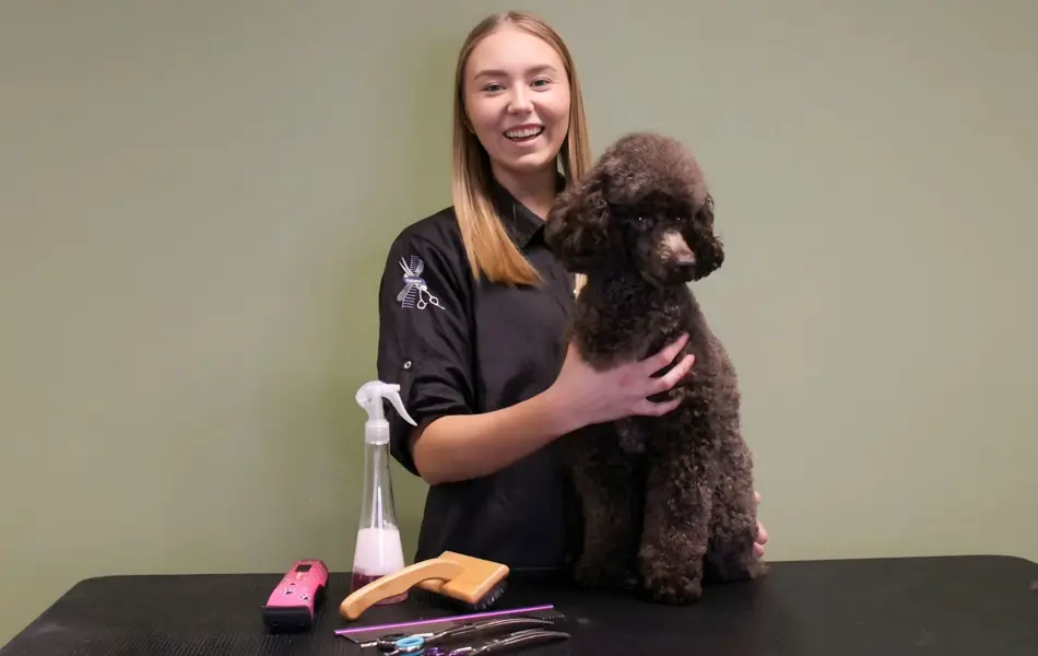 1920x1080 - Hundefrisør Julia