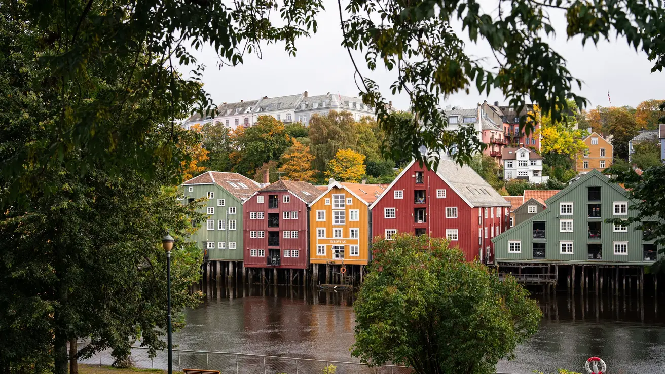 Fargerike trehus langs Nidelva sett fra bak grønne trær.