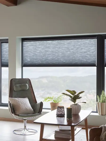 Rullgardin på en stue