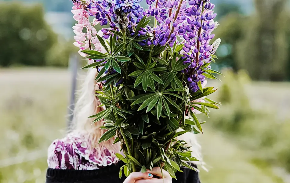 Jente som holder stor lilla og grønn bukett foran ansiktet 