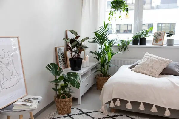Grønne planter
