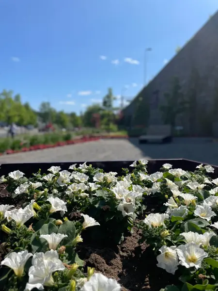 Ski Storsenter sin hage