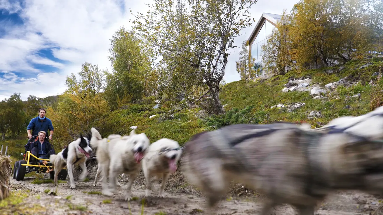 Løpende hunder i slede, med to mennesker i vogn på slep